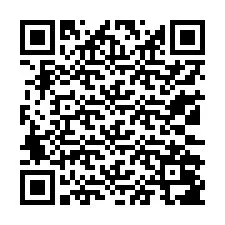 QR код за телефонен номер +13132087933