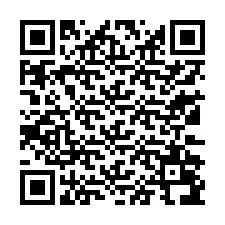 QR Code pour le numéro de téléphone +13132096556