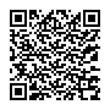 QR-код для номера телефона +13133738000