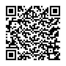 QR-code voor telefoonnummer +13156750415