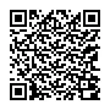 QR-code voor telefoonnummer +13162000058