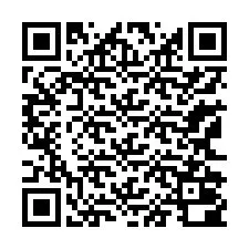 QR-code voor telefoonnummer +13162000175