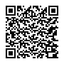 QR-code voor telefoonnummer +13162000187