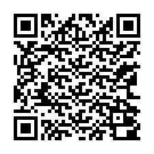 QR Code pour le numéro de téléphone +13162000209