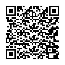 QR-code voor telefoonnummer +13162000217