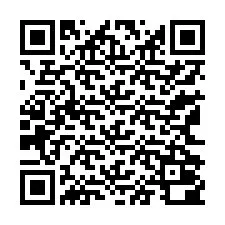 QR-код для номера телефона +13162000264