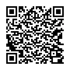 QR-Code für Telefonnummer +13162000393