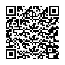 Codice QR per il numero di telefono +13162000413