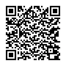 QR-code voor telefoonnummer +13162000493