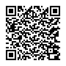QR Code for Phone number +13162000919