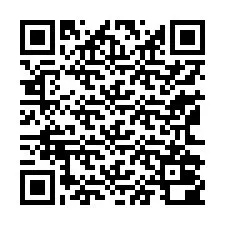 QR-code voor telefoonnummer +13162000956