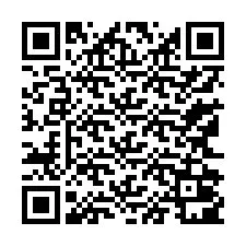 QR Code pour le numéro de téléphone +13162001079