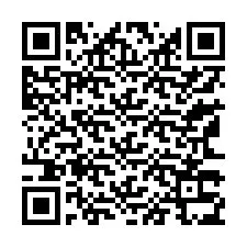 QR Code สำหรับหมายเลขโทรศัพท์ +13163335954