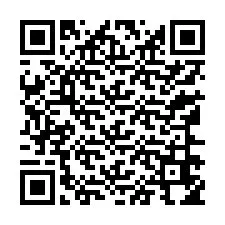 Código QR para número de telefone +13166654048