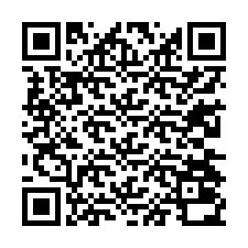 QR-code voor telefoonnummer +13234030333