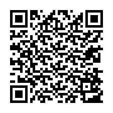 QR-код для номера телефона +13238503647