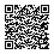 QR-code voor telefoonnummer +13239511067