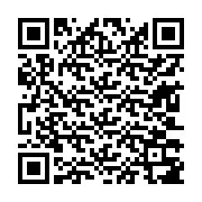 QR-Code für Telefonnummer +13603387395