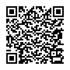 QR-Code für Telefonnummer +13853133974