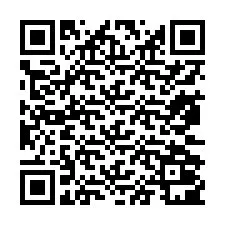 QR-code voor telefoonnummer +13872001339