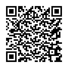 QR Code for Phone number +15675604011