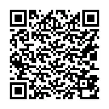 QR-код для номера телефона +16013870135