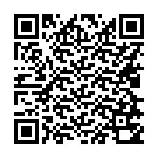 QR код за телефонен номер +16028750166