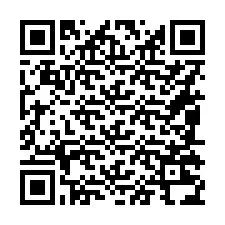 Codice QR per il numero di telefono +16085234991