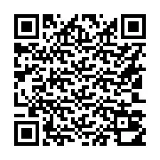 QR-code voor telefoonnummer +16103010406