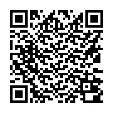 电话号码二维码 +16132000012