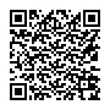 QR код за телефонен номер +16132024802