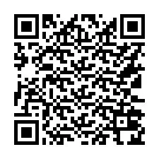 Codice QR per il numero di telefono +16132024874