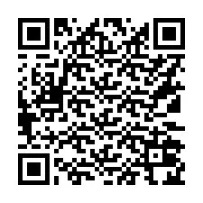 QR-koodi puhelinnumerolle +16132024880