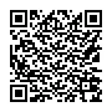 Codice QR per il numero di telefono +16132024885