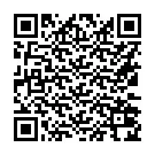 Codice QR per il numero di telefono +16132024916