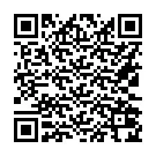 QR код за телефонен номер +16132024933