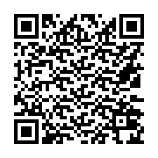 Codice QR per il numero di telefono +16132024947