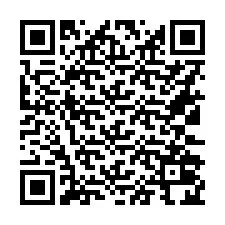 Codice QR per il numero di telefono +16132024973
