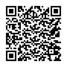 QR-Code für Telefonnummer +16132024987