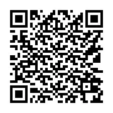 QR код за телефонен номер +16132024990