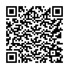 QR код за телефонен номер +16132025158