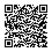 QR код за телефонен номер +16132025173