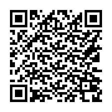 QR код за телефонен номер +16132028259