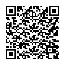 QR Code สำหรับหมายเลขโทรศัพท์ +16132028282