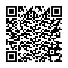 QR Code for Phone number +16238734898