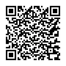 QR Code pour le numéro de téléphone +16317238005