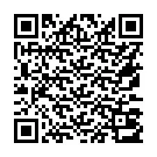 QR-code voor telefoonnummer +16573013040