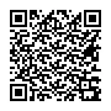 QR-code voor telefoonnummer +16613391013