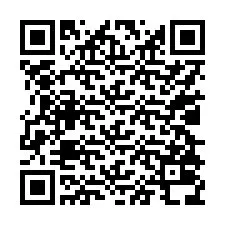 QR-код для номера телефона +17028038978