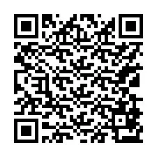 Código QR para número de teléfono +17139873575